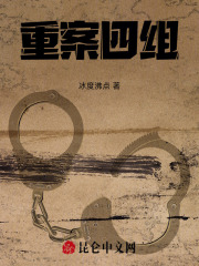 重案四组在线阅读