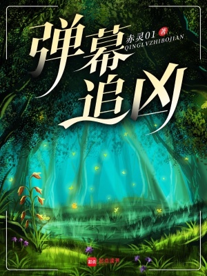 弹幕追凶封面