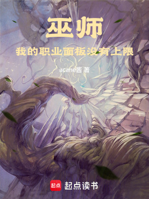 巫师：我的职业面板没有上限封面