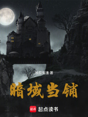 暗域当铺在线阅读