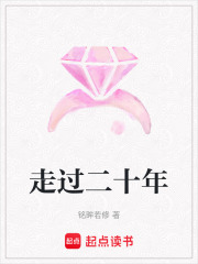 走过二十年在线阅读