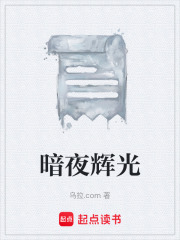 暗夜辉光在线阅读