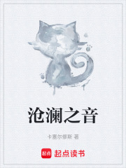沧澜之音在线阅读