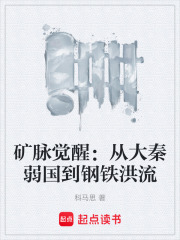 矿脉觉醒：从大秦弱国到钢铁洪流在线阅读