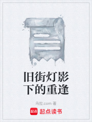 旧街灯影下的重逢在线阅读