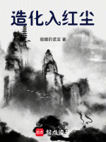 造化入红尘封面
