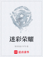 迷彩荣耀在线阅读