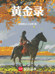 黄金录在线阅读