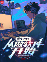 重生2005，从做软件开始封面