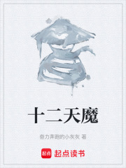 十二天魔在线阅读