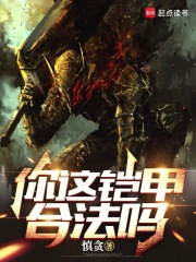 你这铠甲合法吗在线阅读