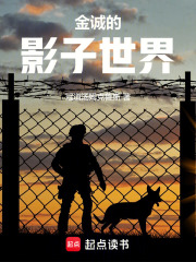 金诚的影子世界在线阅读