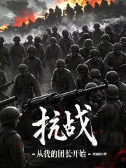 抗战：从我的团长开始