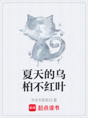 通往夏天的隧道