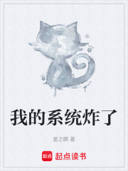 系统炸了