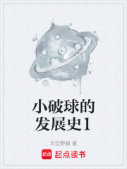 小破球的发展史1在线阅读