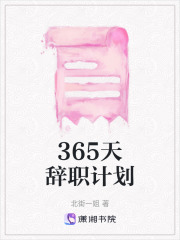 365天辞职计划