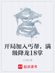 开局加入丐帮，满级降龙18掌在线阅读