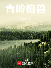 吴邪的私家笔记