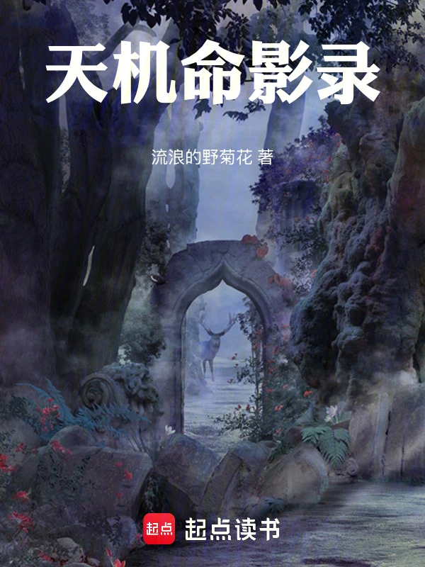 天机命影录