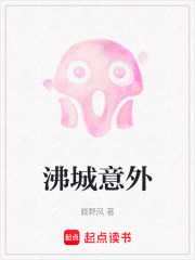 沸城意外在线阅读