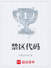 禁区代码在线阅读