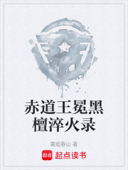 赤道王冕黑檀淬火录在线阅读