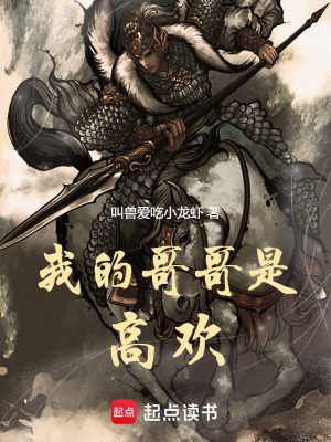我的哥哥是高欢封面