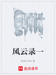 风云录一在线阅读