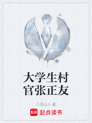大学生村官张正友在线阅读