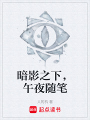 暗影之下，午夜随笔在线阅读