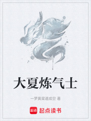 大夏炼气士在线阅读