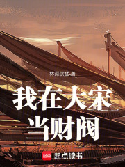 我在大宋
