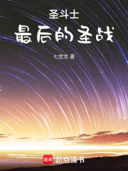 圣斗士：最后的圣战
