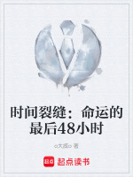 时间裂缝：命运的最后48小时在线阅读