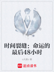 时间裂缝：命运的最后48小时