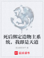 死后绑定造物主系统，我即是天道在线阅读