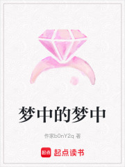 梦中的梦中在线阅读