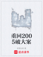 重回2005破大案