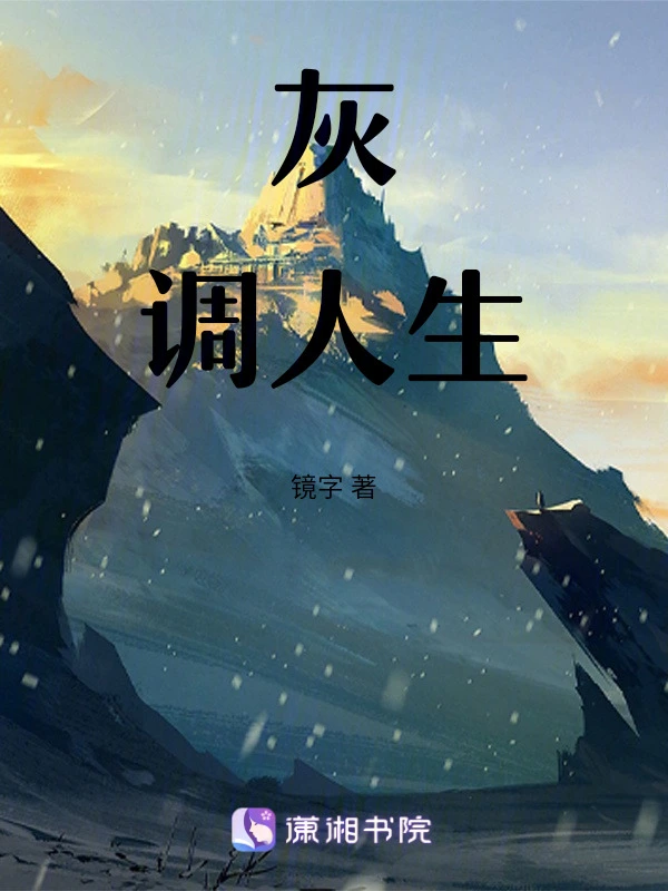 灰调人生