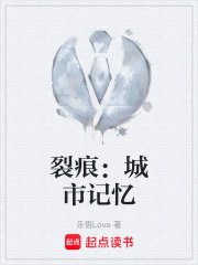 裂痕：城市记忆在线阅读