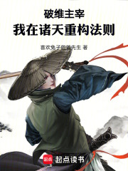 破维主宰：我在诸天重构法则
