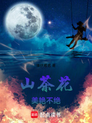山茶花美艳不绝在线阅读