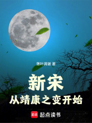 新宋：从靖康之变开始