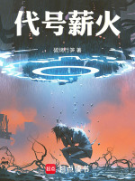 代号：薪火！封面