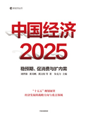 中国经济2025：稳预期、促消费与扩内需