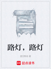 路灯，路灯在线阅读