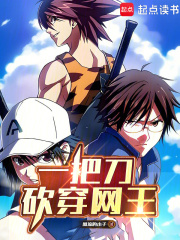 一把刀，砍穿网王