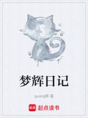 梦辉日记
