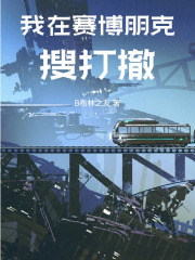 我在赛博朋克搜打撤在线阅读
